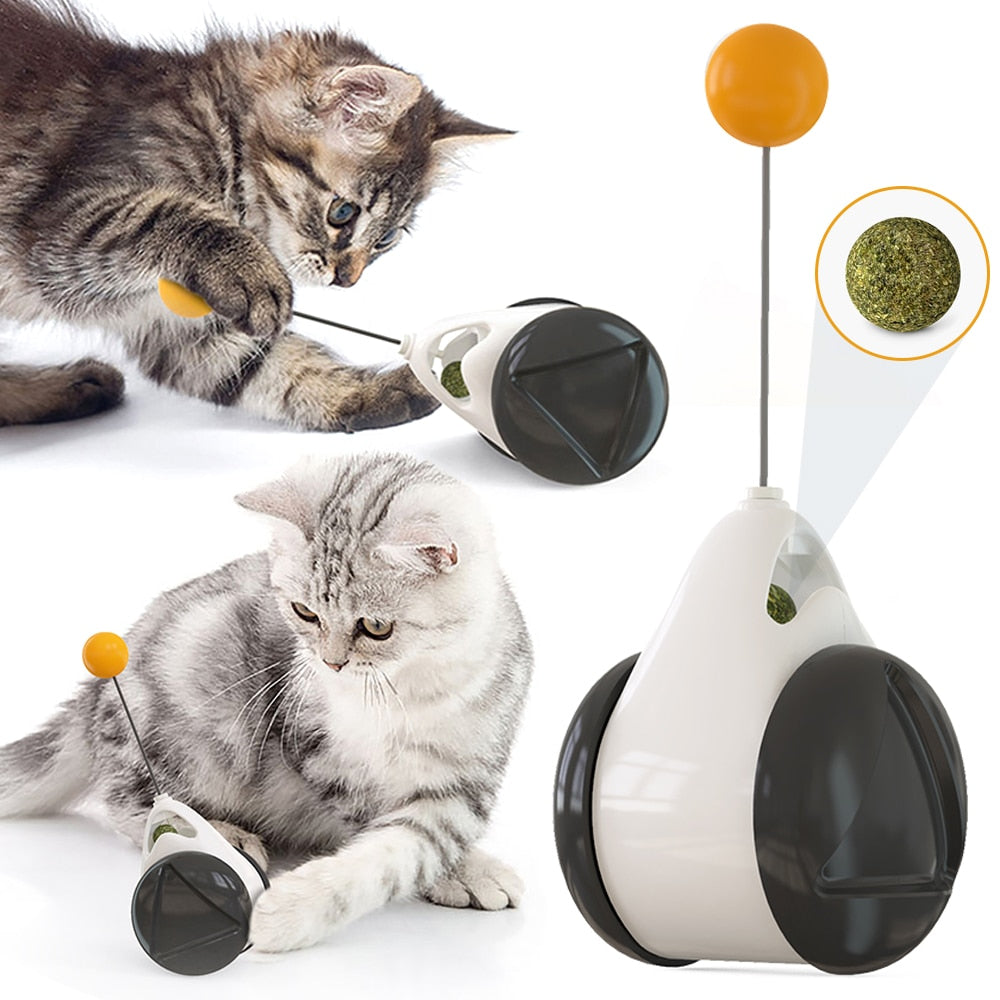 Balance Swing Car Cat Toy
